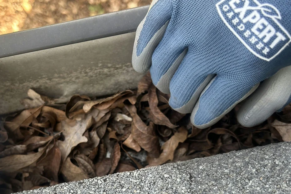 Gutter Cleaning Bordentown