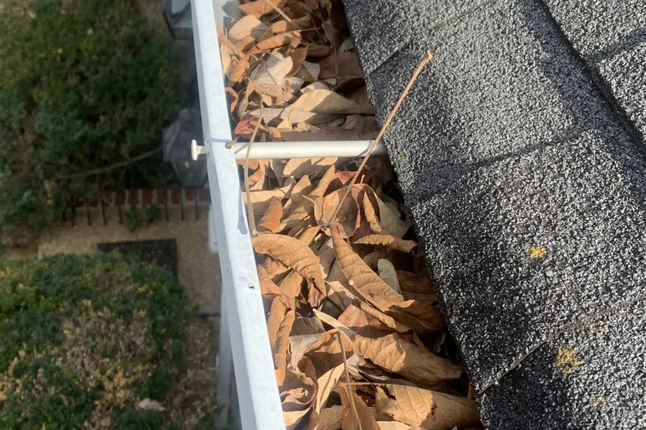 Gutter Cleaning Bordentown