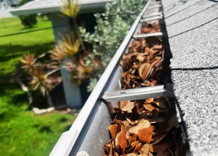 Gutter Cleaning Bordentown home page